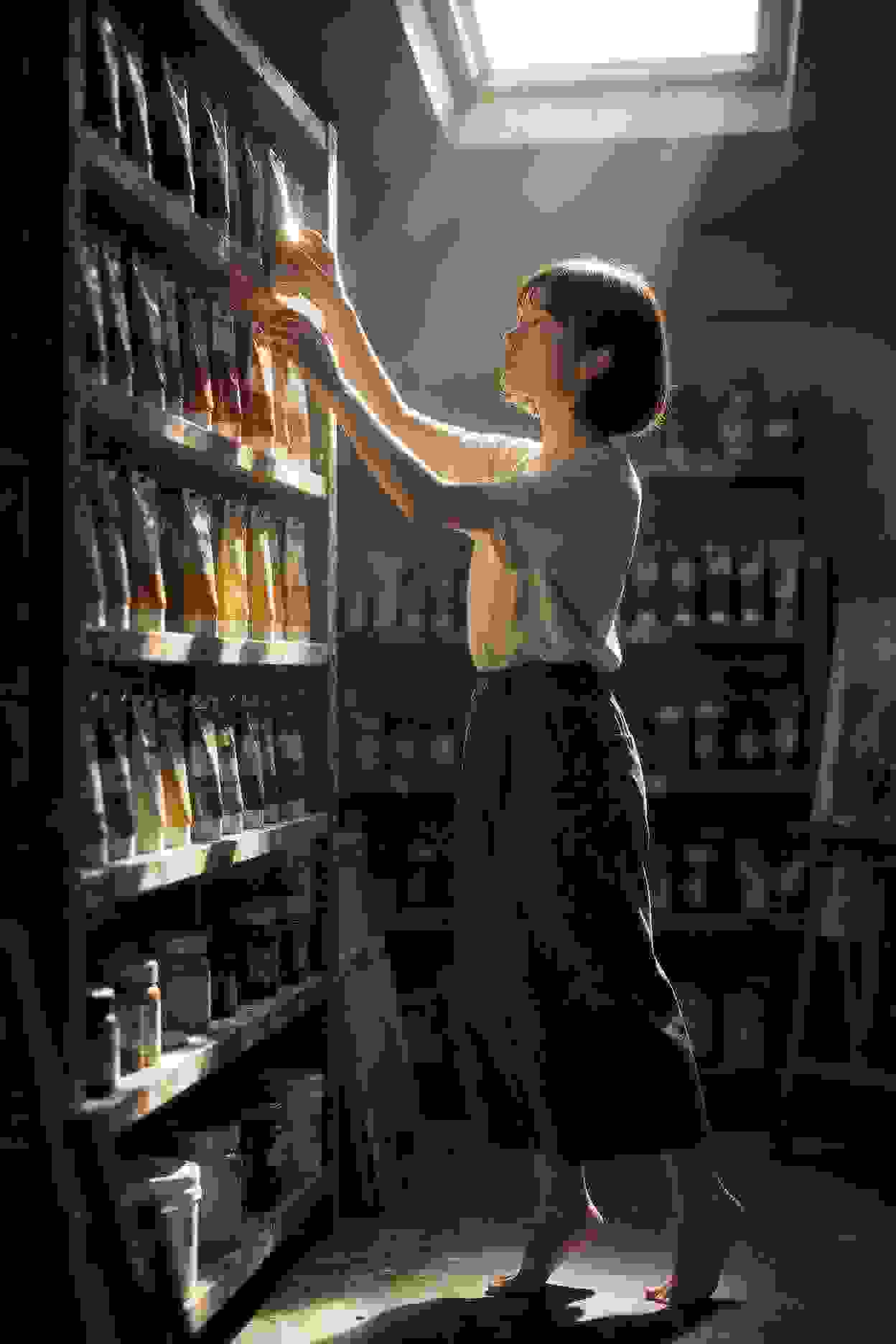 南方有乔木